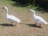 image02