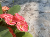 image04